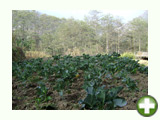 Picture 22-11-2009 814